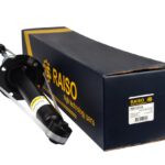 Амортизатор задний Raiso (Швеция) Honda Accord VII