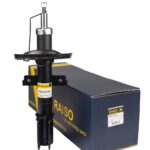 Амортизатор передний Raiso (Швеция) Renault Modus