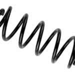 Пружина передняя Raiso (Швеция) Volkswagen Passat (B5)