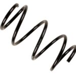 Пружина передняя Raiso (Швеция) BMW 5 (E60)