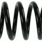 Пружина задняя Raiso (Швеция) BMW X5 (E53)