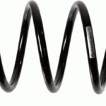 Пружина задняя Raiso (Швеция) Renault Duster (полный привод)