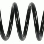 Пружина задняя Raiso (Швеция) Renault Laguna III