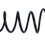 Пружина передняя Raiso (Швеция) Renault Duster