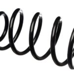 Пружина передняя Raiso (Швеция) Ford Kuga I