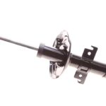 Амортизатор передний Raiso (Швеция) Renault Megane IV