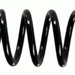 Пружина задняя Raiso (Швеция) Renault Scenic II