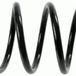 Пружина задняя Raiso (Швеция) Toyota Land Cruiser Prado