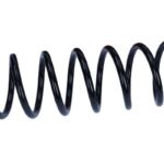 Пружина задняя Raiso (Швеция) BMW 5 (F10)