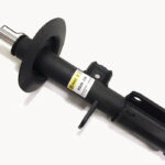 Амортизатор передний правый Raiso (Швеция) БМВ Х5 (Е53) BMW X5 (E53)