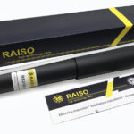 Амортизатор задний Raiso (Швеция) Рено Сценик 2 Renault Scenic 2