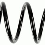 Пружина задняя Raiso (Швеция) Audi A4 (B8)