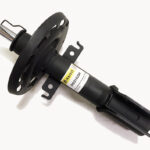 Амортизатор передний Raiso (Швеция) Renault Megane 3