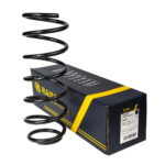 Пружина задняя Raiso (Швеция) Шевроле Авео Chevrolet Aveo