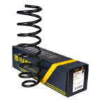 Пружина задняя Raiso (Швеция) Дачия Логан Dacia Logan