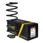 Пружина задняя Raiso(Швеция) Volkswagen Golf 2