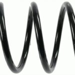 Пружина задняя Raiso (Швеция) Chevrolet Nubira