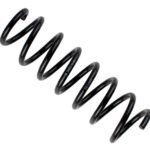 Пружина передняя Raiso (Швеция) BMW 5 (F11)