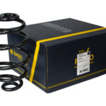 Пружина задняя Raiso (Швеция) Audi A6 C5 Avant Ауди А6 Ц5(С5) Универсал