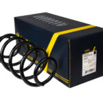 Пружина передняя Raiso (Швеция) Volkswagen Passat B7 Фольксваген Пассат Б7