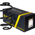 Пружина задняя Raiso (Швеция) Volkswagen Passat B5 Фольксваген Пассат Б5