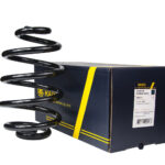 Пружина задняя Raiso Opel Omega B