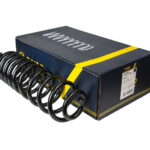 Пружина задняя Raiso (Швеция) Volkswagen Passat B3 (универсал)