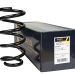 Пружина задняя Raiso (Швеция) Honda CR-V 3