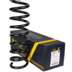 Пружина передняя Raiso Мерседес Е-Класс (210) Mercedes E-Class (W210)