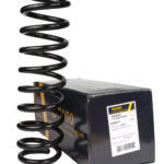 Пружина задняя Raiso (Швеция) Ford Focus (универсал)