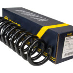 Пружина задняя Raiso Мерседес Е-Класс (210) Mercedes E-Class (W210)