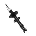 Амортизатор передний Raiso(Швеция) Рено Дастер Renault Duster