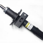 Амортизатор передний Raiso (Швеция) Skoda Roomster