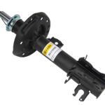 Амортизатор передний левый Raiso (Швеция) Citroen Nemo