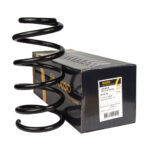 Пружина задняя Raiso (Швеция) Hyundai Santa Fe II