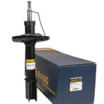 Амортизатор передний Raiso (Швеция) Renault Sandero Stepway II