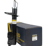 Амортизатор передний правый Raiso (Швеция) Jeep Compass