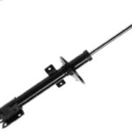 Амортизатор задний Raiso (Швеция) Рено Дастер Renault Duster