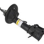 Амортизатор задний  левый Raiso (Швеция) Kia Cerato