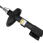 Амортизатор передний правый Raiso (Швеция) Peugeot 307