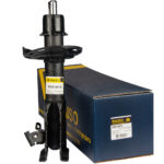 Амортизатор передний правый Raiso (Швеция) Honda Civic 8