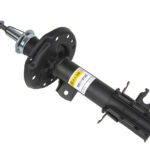 Амортизатор передний правый Raiso (Швеция) Citroen Nemo