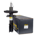 Амортизатор передний Raiso (Швеция) Renault Fluence