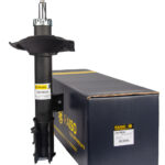 Амортизатор задний левый Raiso (Швеция) Nissan X-Trail (T30)