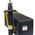 Амортизатор передний Raiso (Швеция) Peugeot 405 II