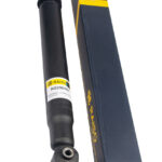 Амортизатор задний Raiso (Швеция) Peugeot 307