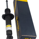 Амортизатор задний Raiso (Швеция) Nissan Primera (P12)