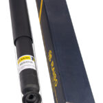 Амортизатор задний Raiso (Швеция) Nissan Qashqai (J10)