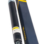 Амортизатор задний Raiso (Швеция) Peugeot 307