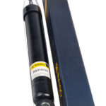 Амортизатор задний Raiso (Швеция) Renault Clio III